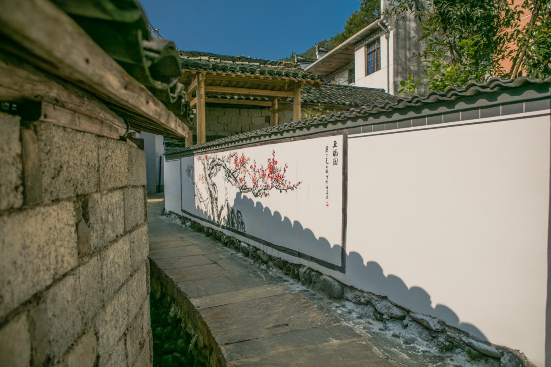 徽州中亚园艺绿化